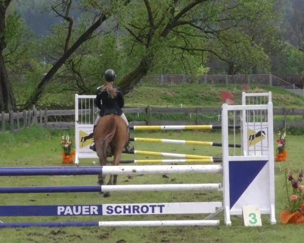 Reitturnier Friesach 2023