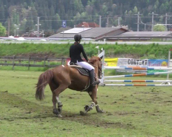 Reitturnier Friesach 2023