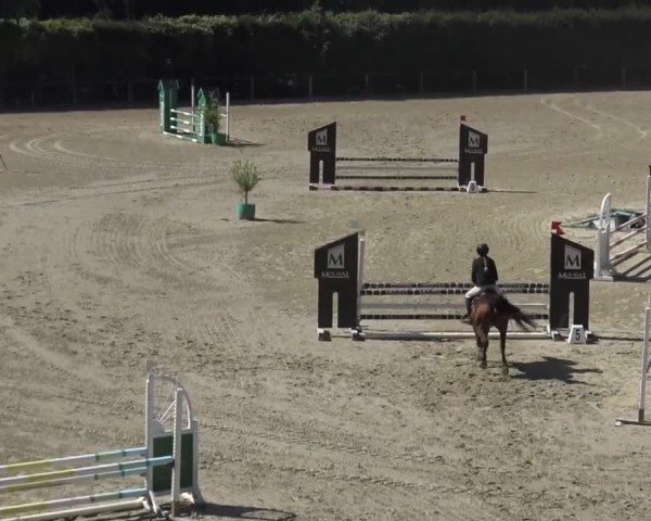 Reitturnier Dienstlhof Launsdorf 2023