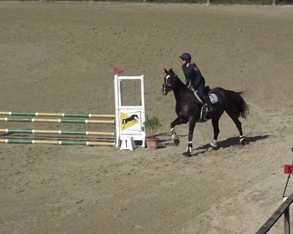 Reitturnier Dienstlhof Launsdorf 2023