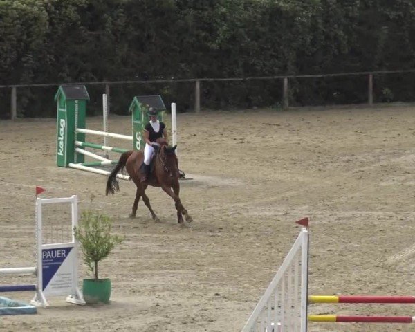 Reitturnier Dienstlhof Launsdorf 2023