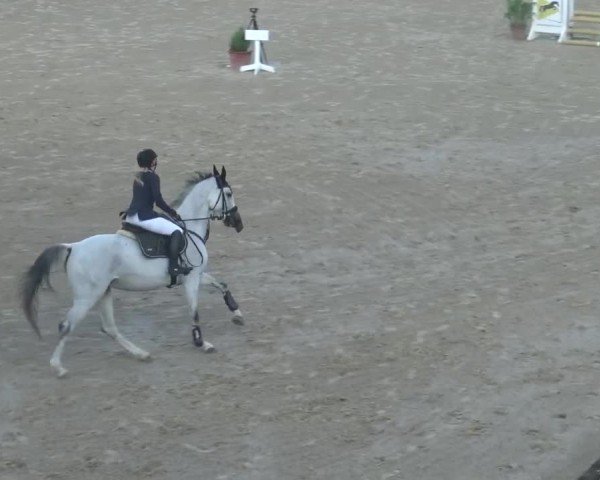 Reitturnier Dienstlhof Launsdorf 2023