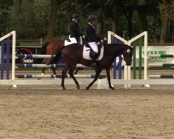 Reitturnier Lüdinghausen 2021