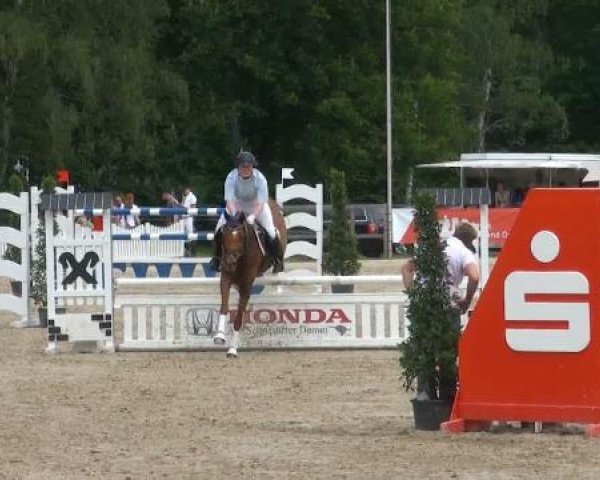 Münster-Angelmodde Dressur und Springturnier 2012