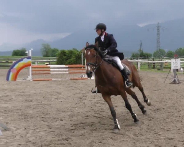 Reitturnier Villach/Sumperhof 2023