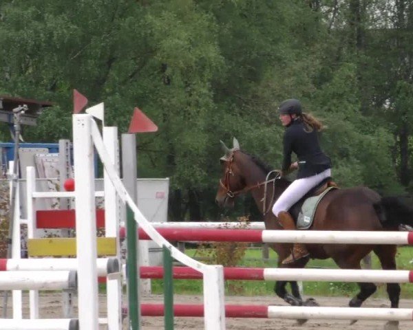 Reitturnier Villach/Sumperhof 2023