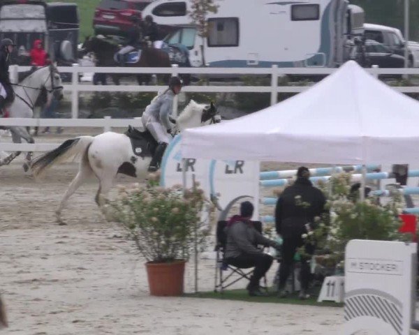 Reitturnier Wolfsberg 2022