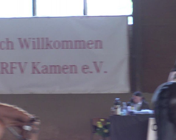 Reitturnier Kamen 2024
