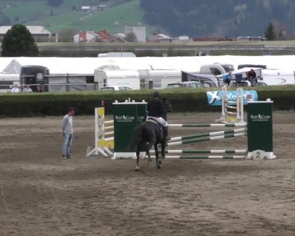 Reitturnier Sachendorf 2023