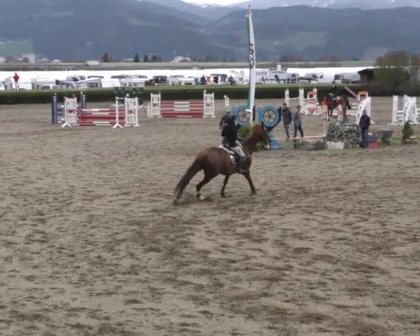 Reitturnier Sachendorf 2023