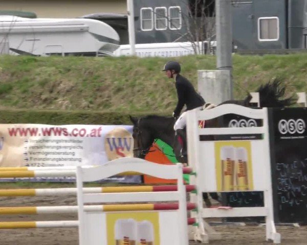 Reitturnier Sachendorf 2023