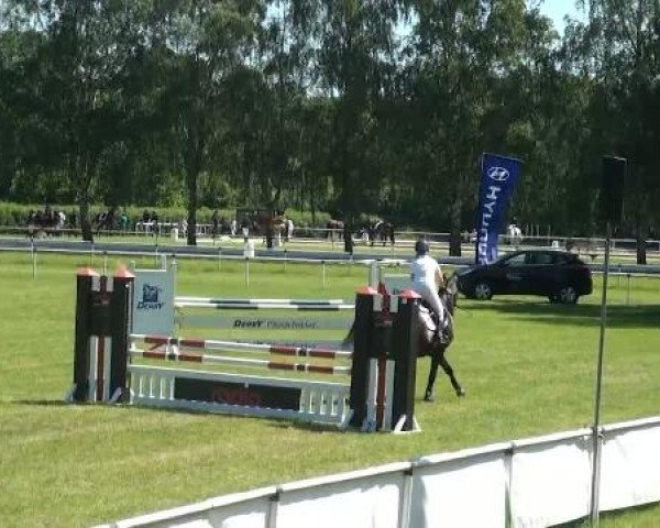 Ostenfelde-Vornholz  Dressur und Springturnier 2012