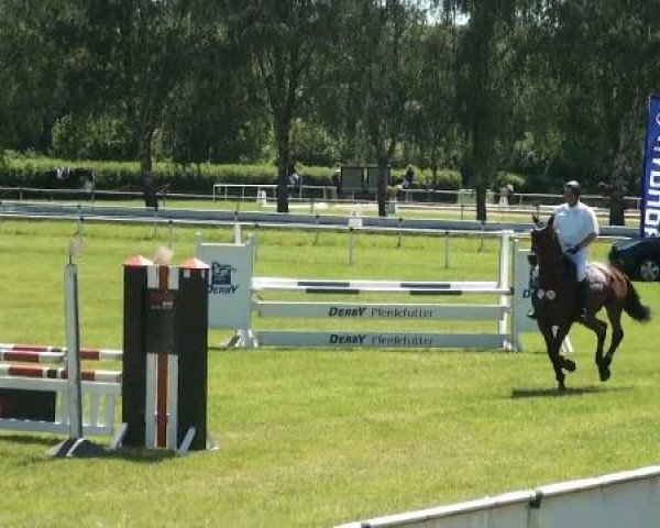 Ostenfelde-Vornholz  Dressur und Springturnier 2012