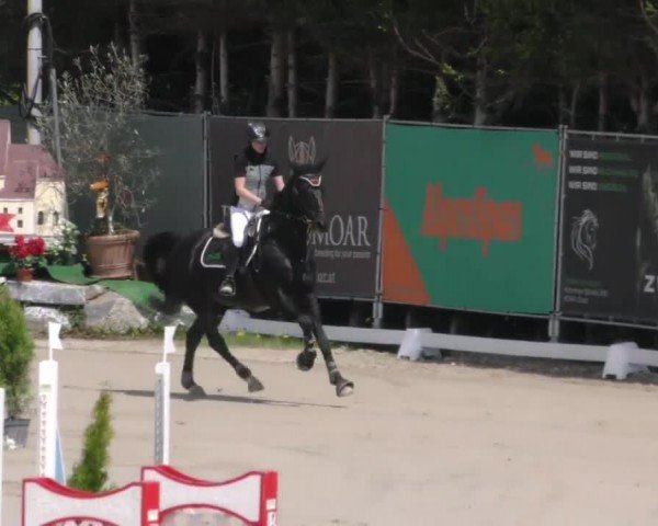 Reitturnier Preding 2023
