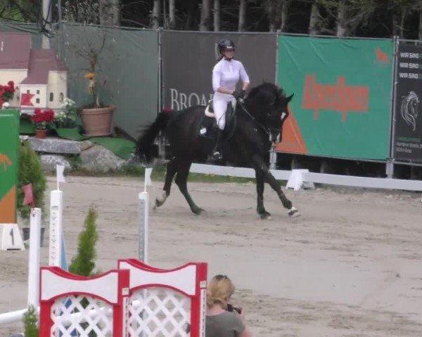 Reitturnier Preding 2023