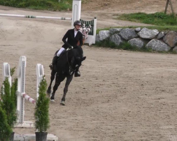 Reitturnier Preding 2023