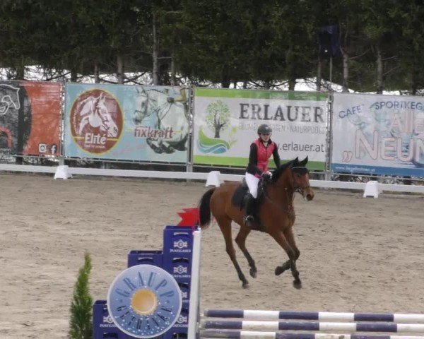 Reitturnier Preding 2023