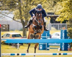 jumper Cessy 51 (German Warmblood, 2017, from Cristallo I)