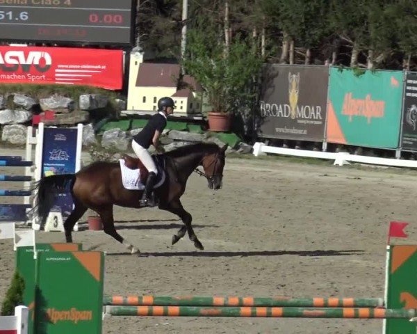 Reitturnier Preding 2023