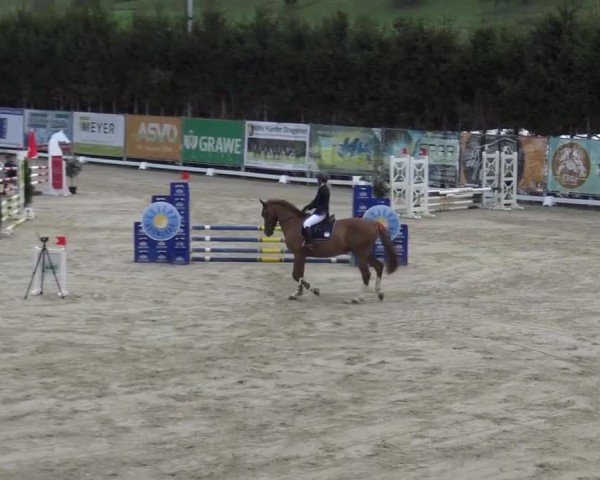 Reitturnier Preding 2023