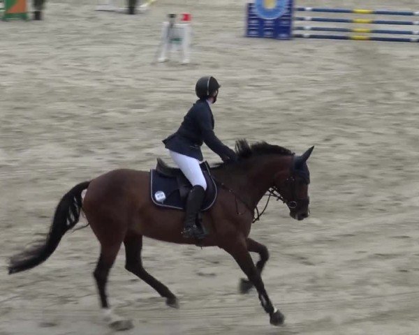 Reitturnier Preding 2023