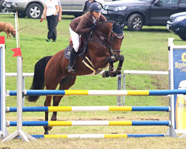 broodmare Rebecca (German Sport Horse, 2011, from Casdorff)