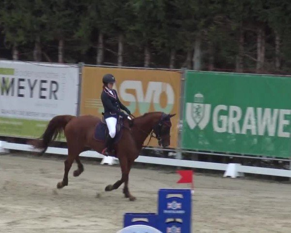 Reitturnier Preding 2023