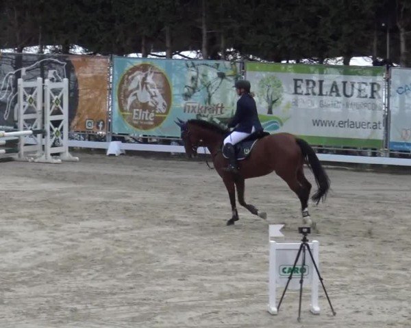 Reitturnier Preding 2023