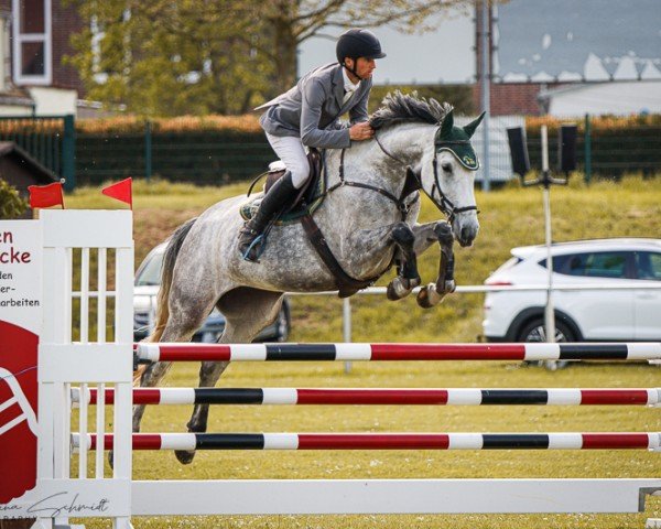 Springpferd Diavira W (Holsteiner, 2018, von Diarado)