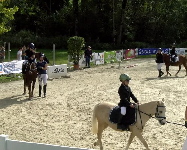 Reitturnier Isny-Rohrdorf 2021