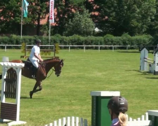 Ostenfelde-Vornholz  Dressur und Springturnier 2012