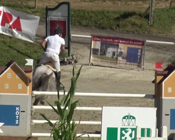 Reitturnier Preding 2023