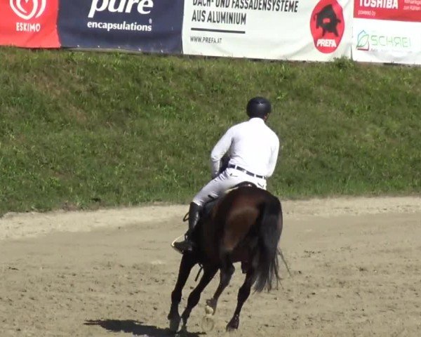 Reitturnier Preding 2023
