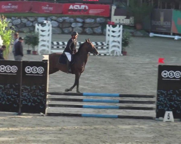 Reitturnier Preding 2023
