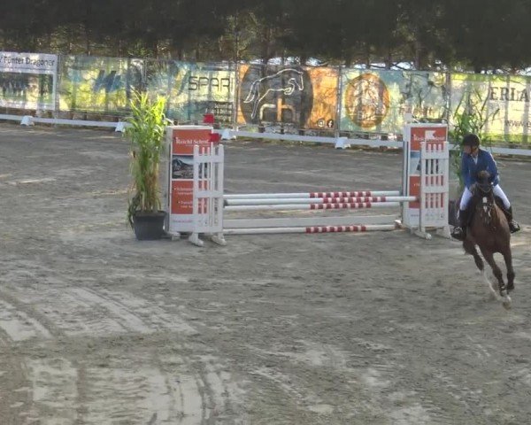 Reitturnier Preding 2023