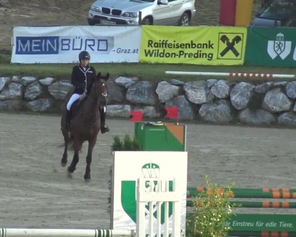 Reitturnier Preding 2023