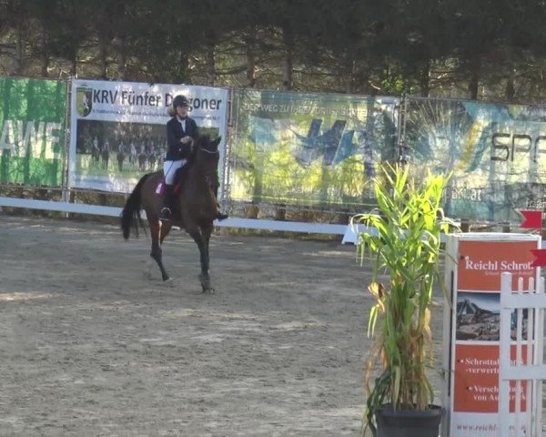 Reitturnier Preding 2023