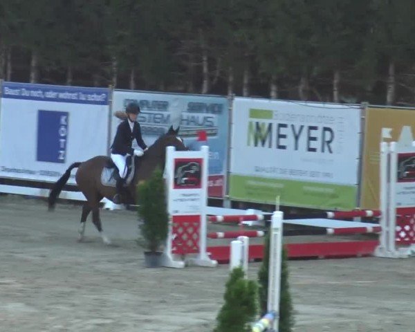 Reitturnier Preding 2023