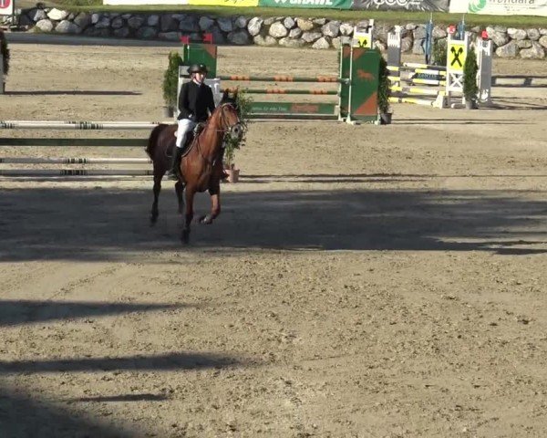 Reitturnier Preding 2023