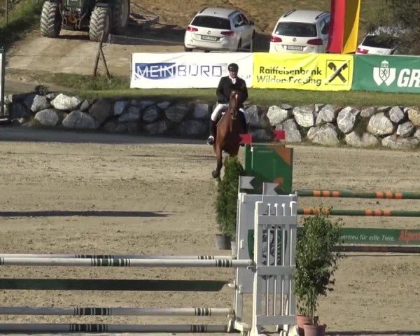 Reitturnier Preding 2023