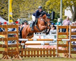 jumper Leo 633 (German Sport Horse, 2011, from Landrebell)
