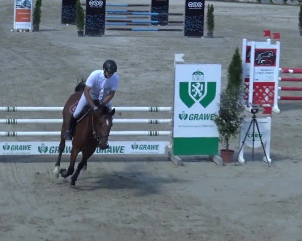 Reitturnier Preding 2023