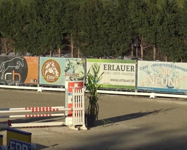 Reitturnier Preding 2023
