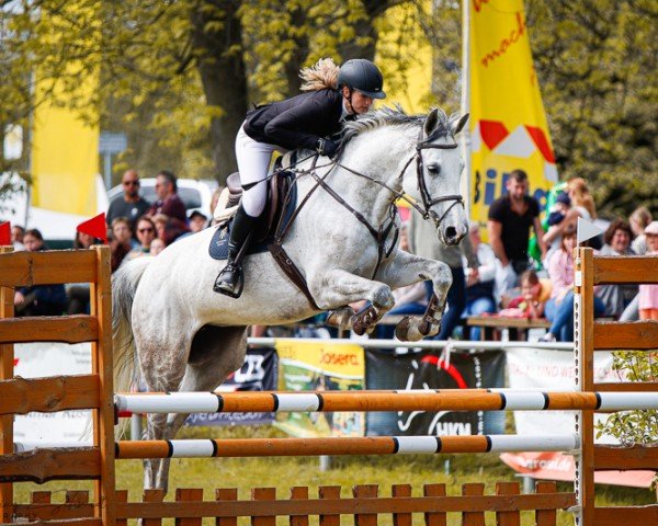 broodmare Lolita 254 (German Sport Horse, 2014, from Casino Berlin OLD)