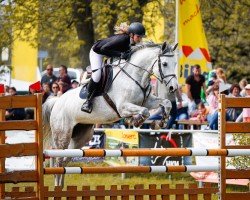 broodmare Lolita 254 (German Sport Horse, 2014, from Casino Berlin OLD)