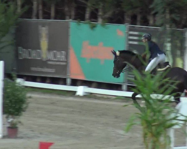 Reitturnier Preding 2023