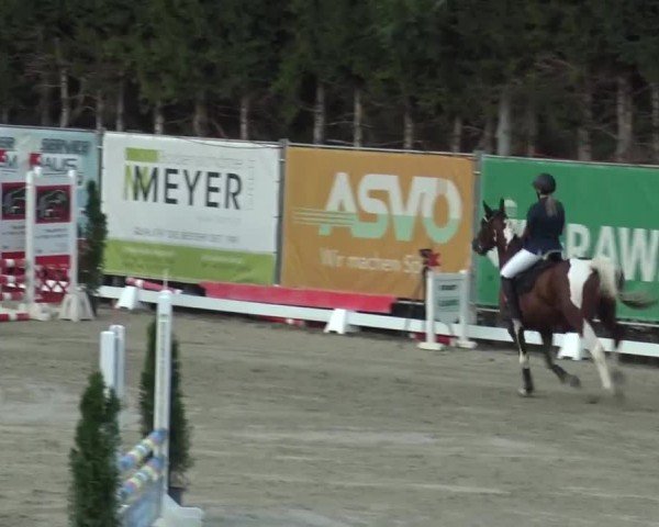 Reitturnier Preding 2023