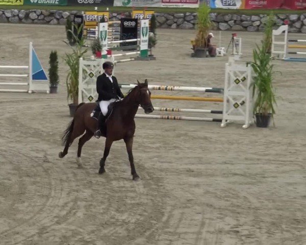 Reitturnier Preding 2023