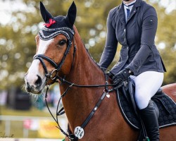 jumper Violyna (Hanoverian, 2018, from Vagabond de la Pomme)