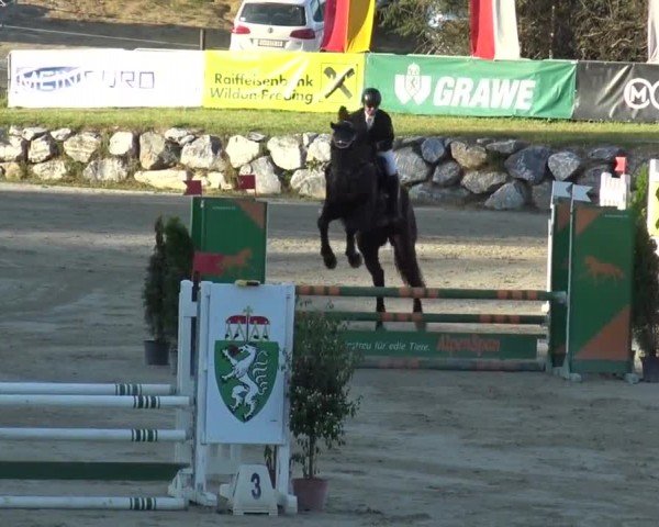 Reitturnier Preding 2023